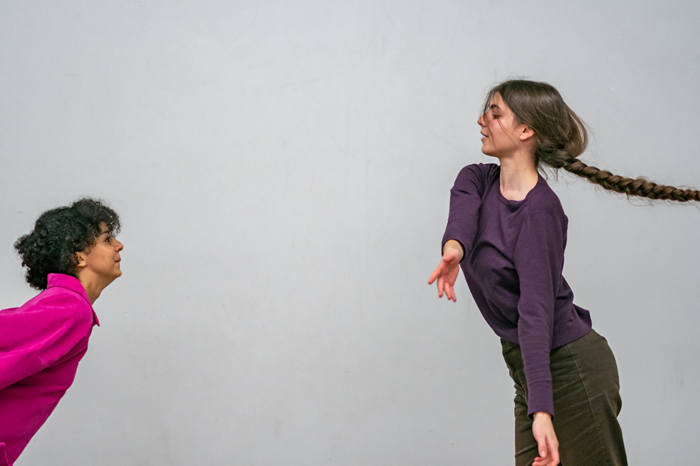 Le CAM, allié du financement participatif en danse 3