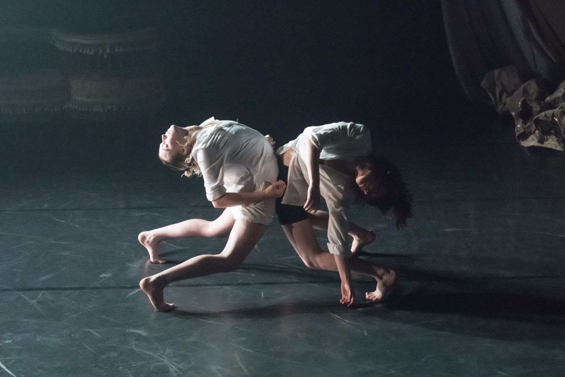 Finalistes au Prix Propulsion 2024 pour l’innovation et l’enrichissement des arts du cirque Finalistes au Prix Propulsion 2024 pour l'innovation et l'enrichissement des arts du cirque