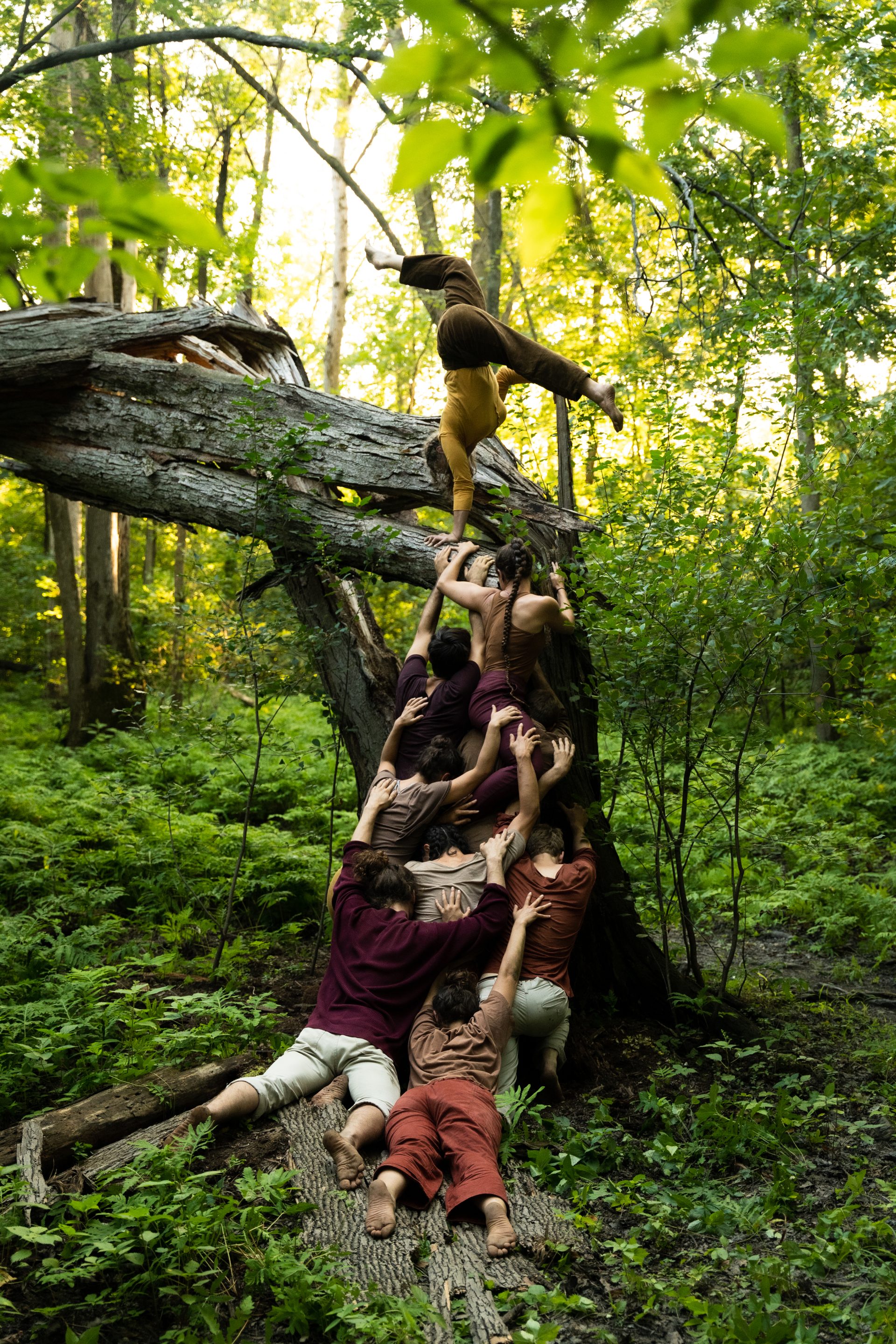 Finalistes au Prix Propulsion 2024 pour l’innovation et l’enrichissement des arts du cirque 1 Finalistes au Prix Propulsion 2024 pour l'innovation et l'enrichissement des arts du cirque 1