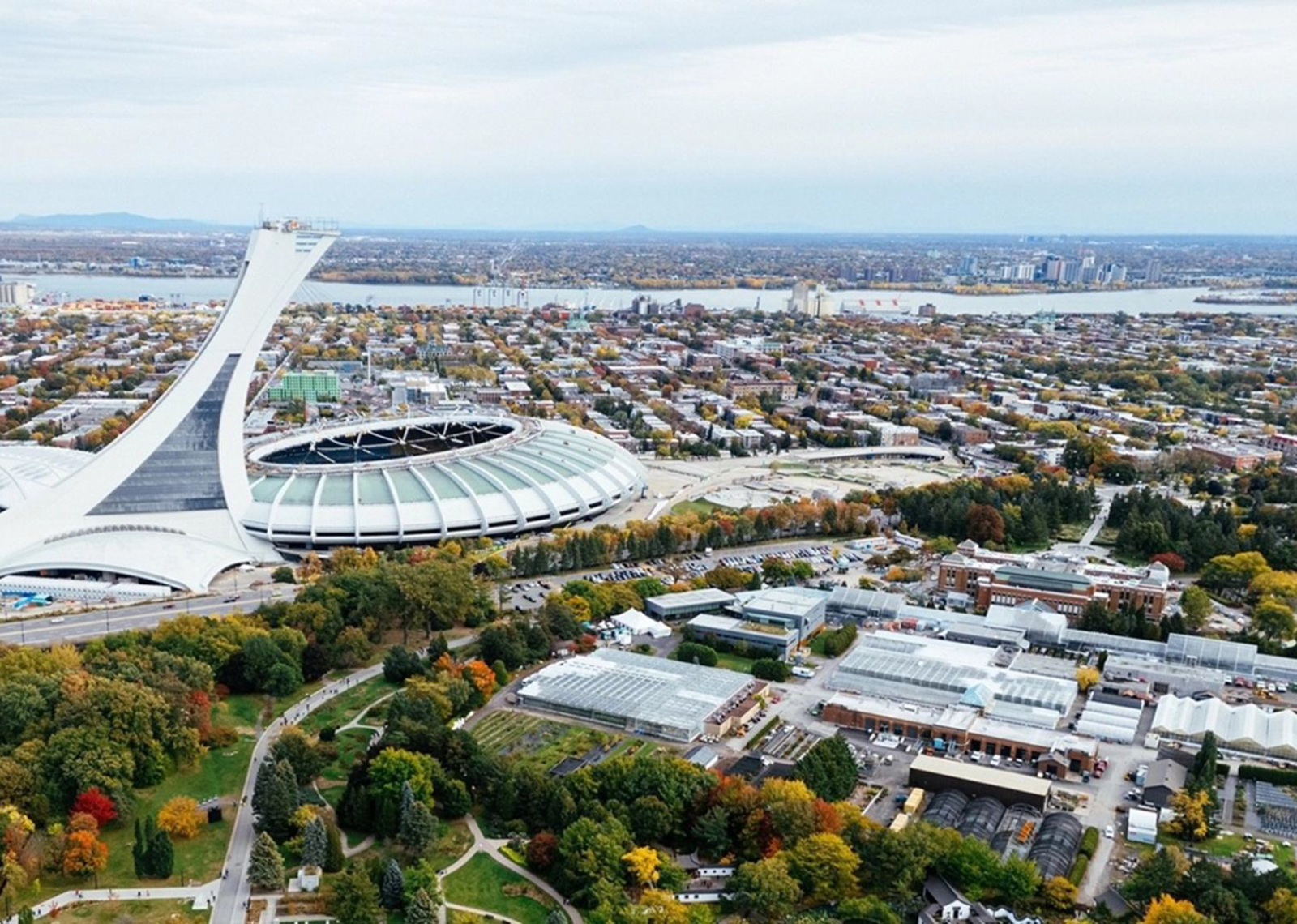 Revitalisation de l’Est de Montréal : une étude appelle à faire de la culture  un levier de développement 1